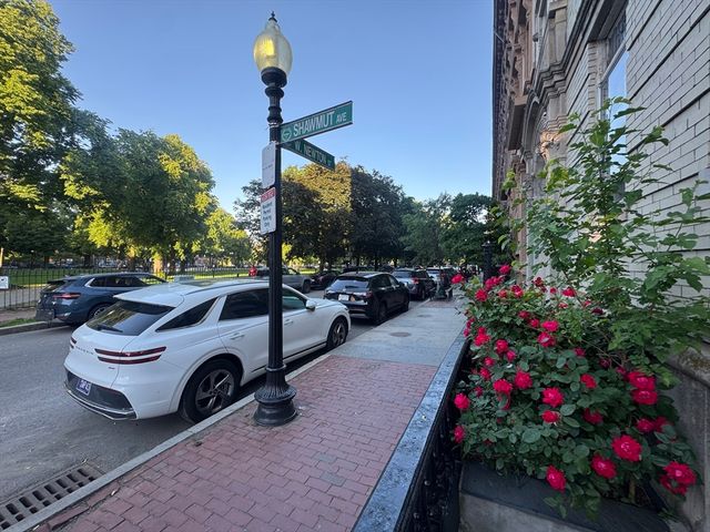 42 W Newton St 3B, Boston, MA 02118