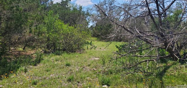 137 PR 3501, Mico, TX 78056