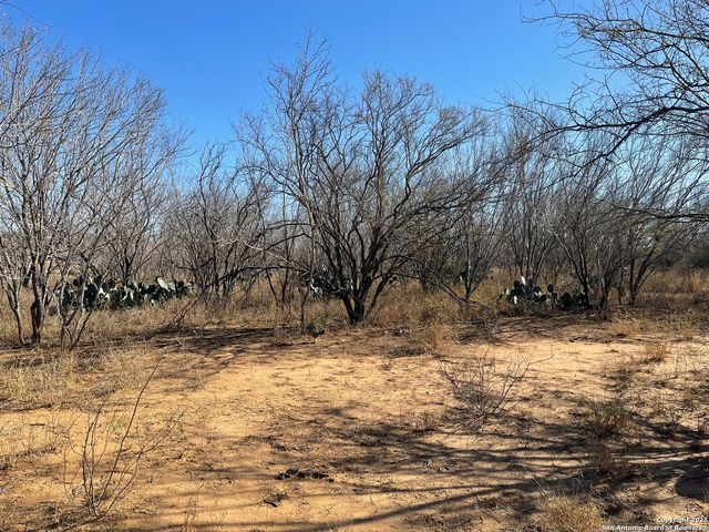 131 County Road 2666, Moore, TX 78057
