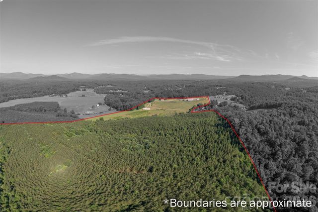 621 Pleasant Grove Road, Rutherfordton, NC 28139