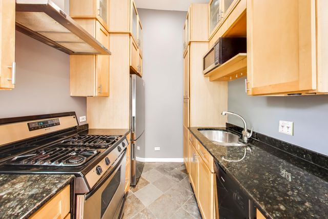 223 W Wisconsin Street 2D, Chicago, IL 60614