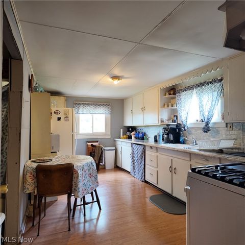 60490 Main Street, Jacobsburg, OH 43933