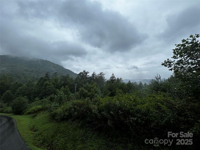 241 Peppervine Circle, Rosman, NC 28772