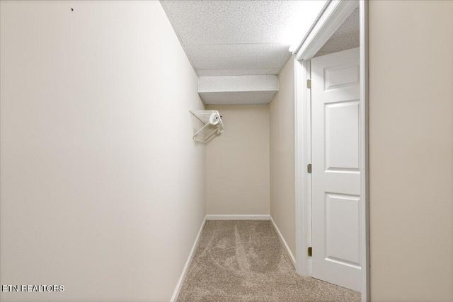 155 Mozingo Lane, Jacksboro, TN 37757