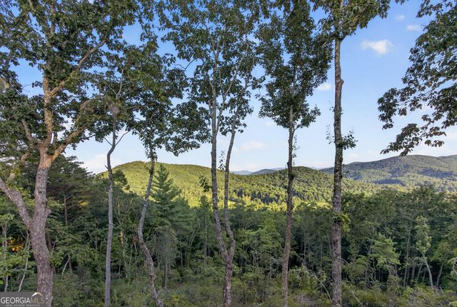 193 7 Figure Ridge, Blue Ridge, GA 30513