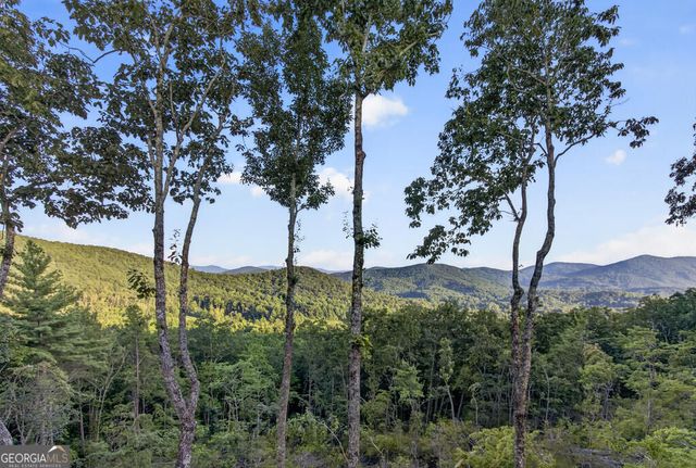 193 7 Figure Ridge, Blue Ridge, GA 30513