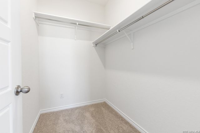 7819 ROCK WREN FALL, San Antonio, TX 78253