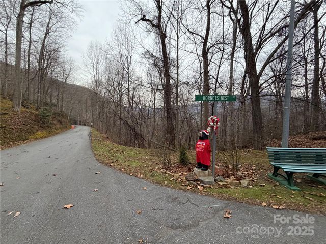 TBD Hornets Nest Road, Maggie Valley, NC 28751