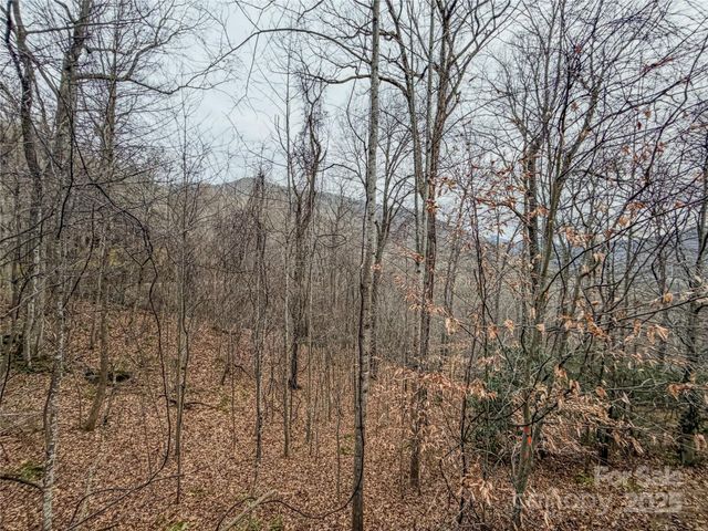 TBD Hornets Nest Road, Maggie Valley, NC 28751