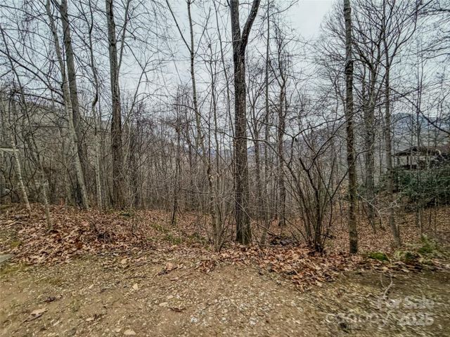 TBD Hornets Nest Road, Maggie Valley, NC 28751