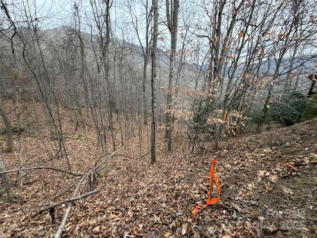 TBD Hornets Nest Road, Maggie Valley, NC 28751