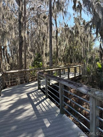 6079 E Penrose Street, Inverness, FL 34452