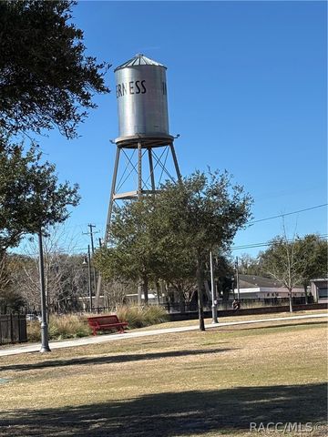 6079 E Penrose Street, Inverness, FL 34452