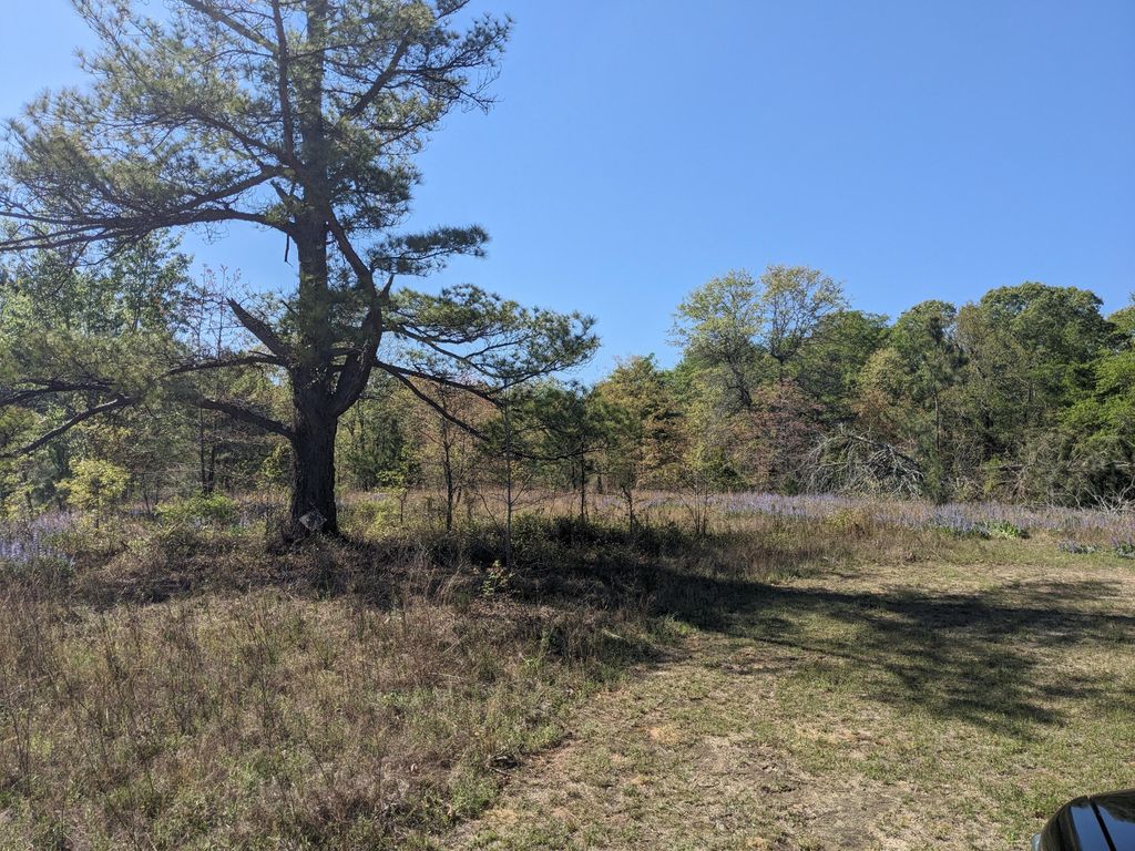 4781 Deans Bridge Road, Blythe, GA 30805