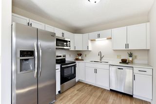 4233 Braddock Trail, Eagan, MN 55123