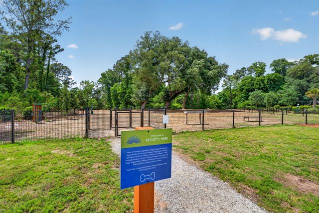 2617 Bold Reason Street, Charleston, SC 29492