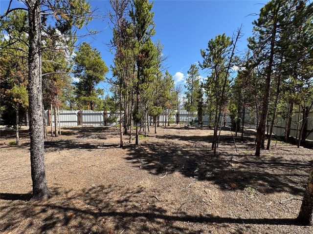 379 Spruce Dr, Leadville, CO 80461