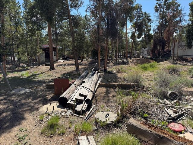 379 Spruce Dr, Leadville, CO 80461