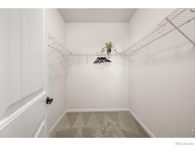 9365 Joyce Way, Arvada, CO 80007