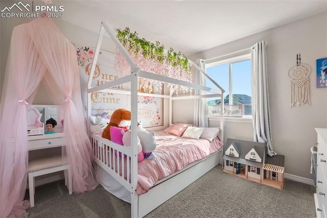 9948 Castor Drive, Colorado Springs, CO 80925