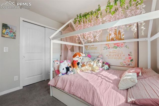 9948 Castor Drive, Colorado Springs, CO 80925