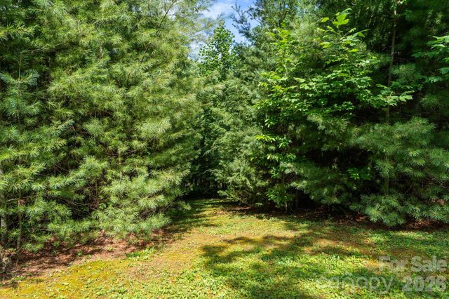 9081 Pittmans Gap Road, Newland, NC 28657