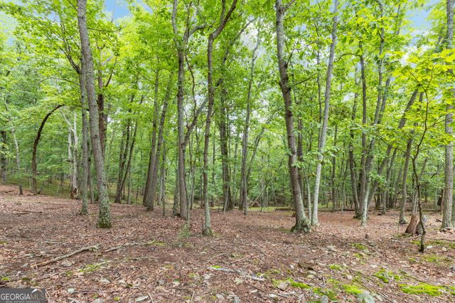 7201 Browns Mill Road, Lithonia, GA 30038