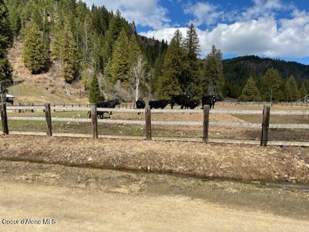 12412 ST JOE RIVER RD, St. Maries, ID 83861 photo 18
