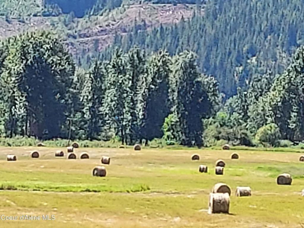 12412 ST JOE RIVER RD, St. Maries, ID 83861 photo 29