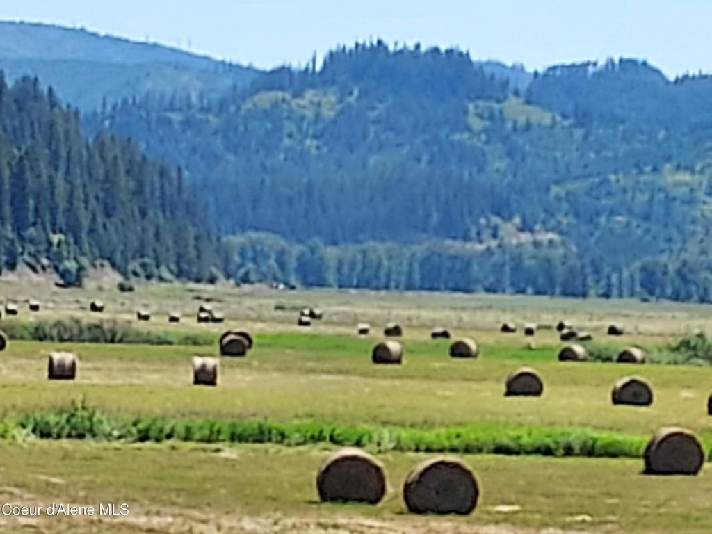 12412 ST JOE RIVER RD, St. Maries, ID 83861 photo 30