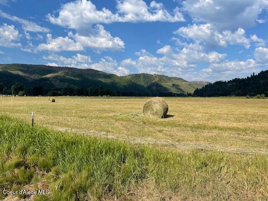 12412 ST JOE RIVER RD, St. Maries, ID 83861 photo 7