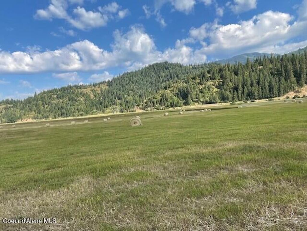12412 ST JOE RIVER RD, St. Maries, ID 83861 photo 8