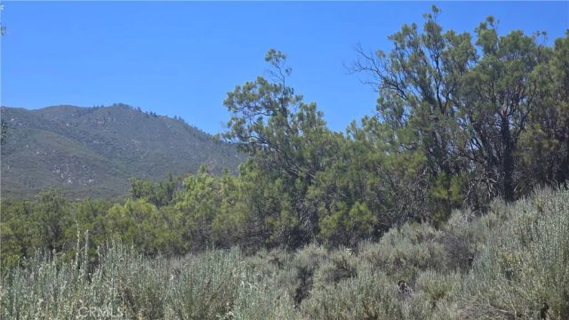 38375 Indian, Anza, CA 92539