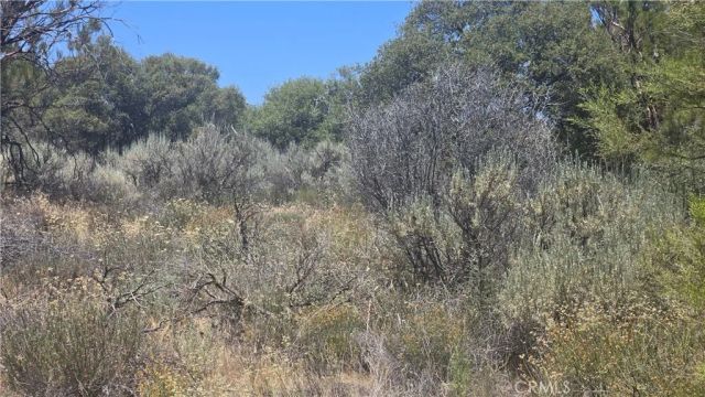 38375 Indian, Anza, CA 92539