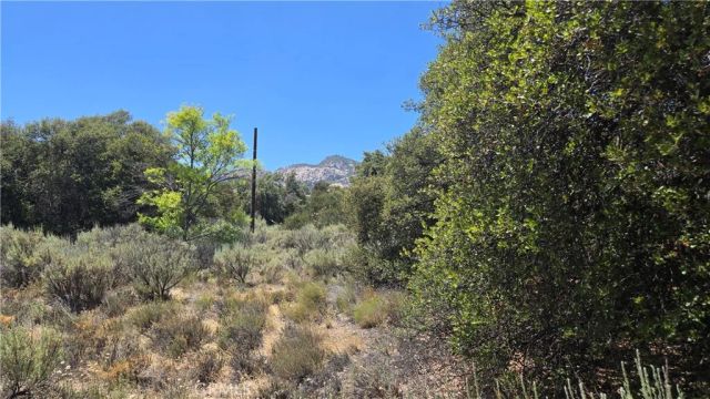 38375 Indian, Anza, CA 92539