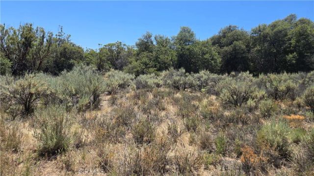 38375 Indian, Anza, CA 92539