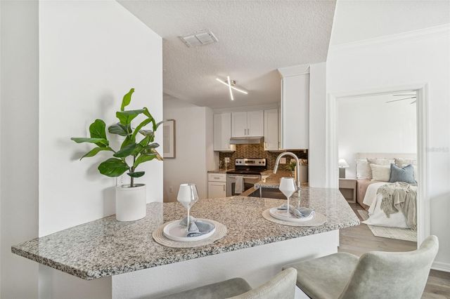 501 KNIGHTS RUN AVENUE 2206, Tampa, FL 33602