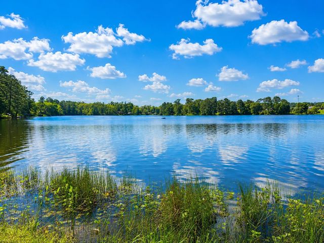 12789 Royal West Drive, Conroe, TX 77303