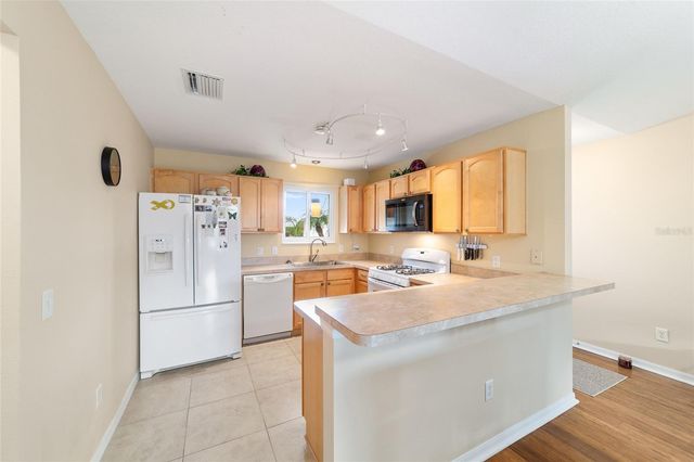 442 PACE LANE, The Villages, FL 32162