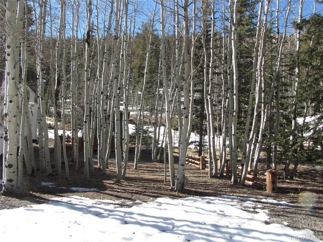 627 Depot Dr, Hartsel, CO 80449