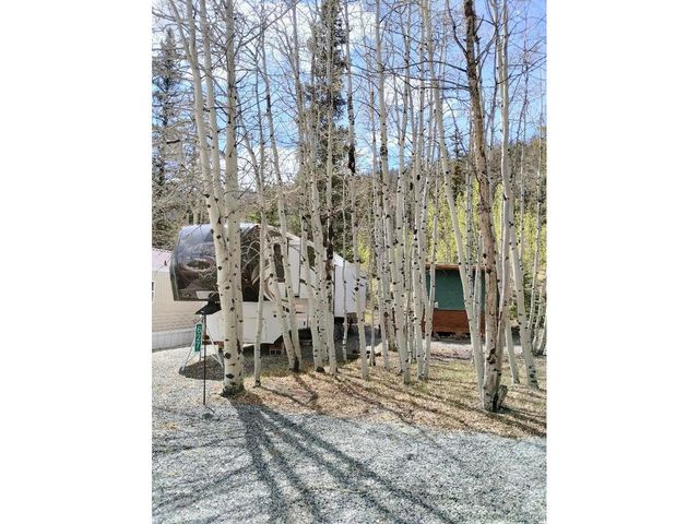 627 Depot Dr, Hartsel, CO 80449