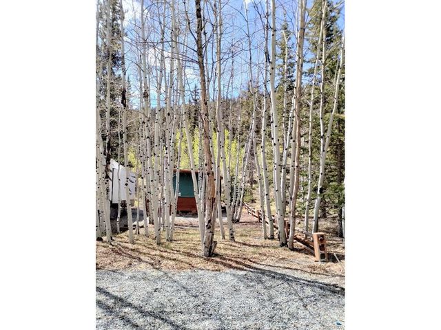 627 Depot Dr, Hartsel, CO 80449