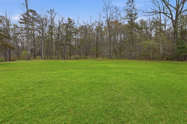 1159 Ossahatchie Creek Road, Ellerslie, GA 31807