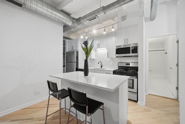 1307 S Wabash Avenue 205, Chicago, IL 60605