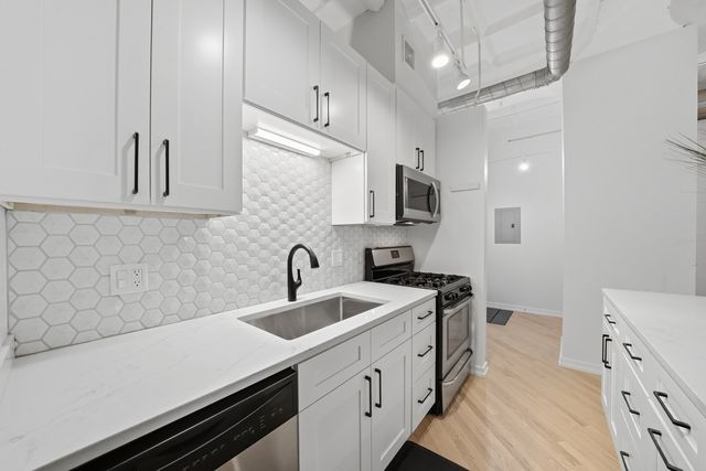 1307 S Wabash Avenue 205, Chicago, IL 60605