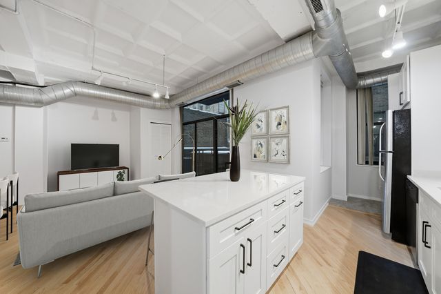 1307 S Wabash Avenue 205, Chicago, IL 60605