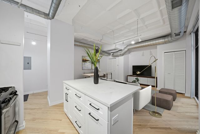 1307 S Wabash Avenue 205, Chicago, IL 60605