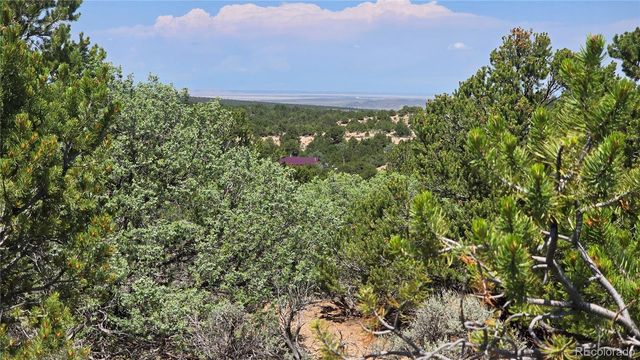 Lot 1615 Dunn Road, San Luis, CO 81152