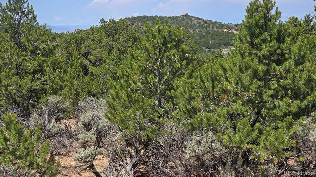Lot 1615 Dunn Road, San Luis, CO 81152