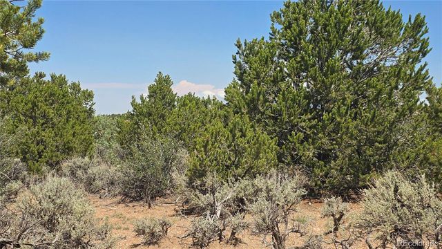 Lot 1615 Dunn Road, San Luis, CO 81152